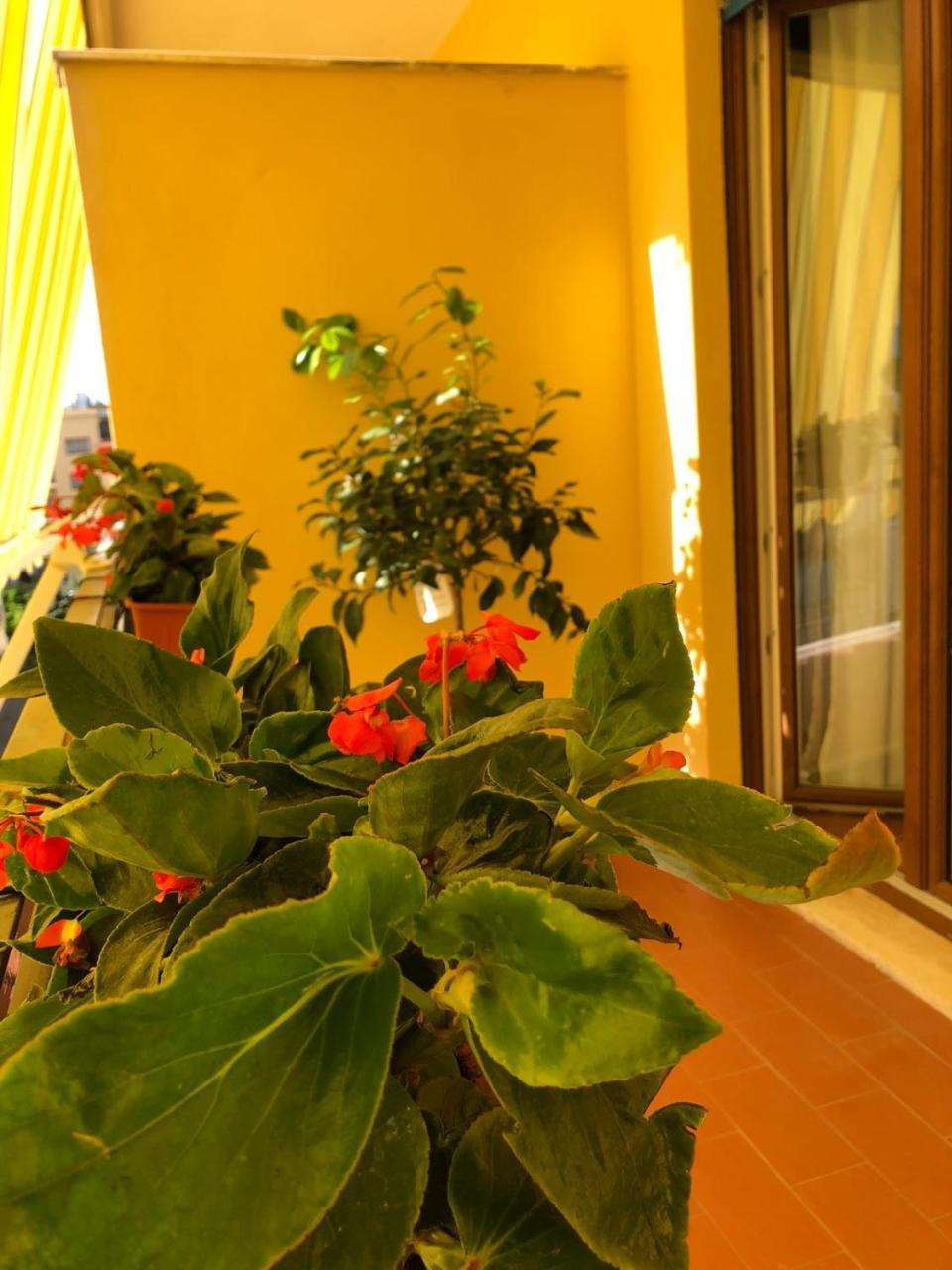 B&B La Rada Sorrento Kültér fotó